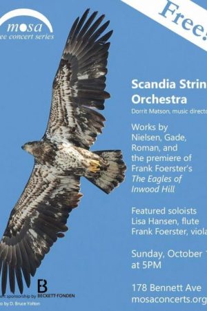 Mosa Concert Series 1