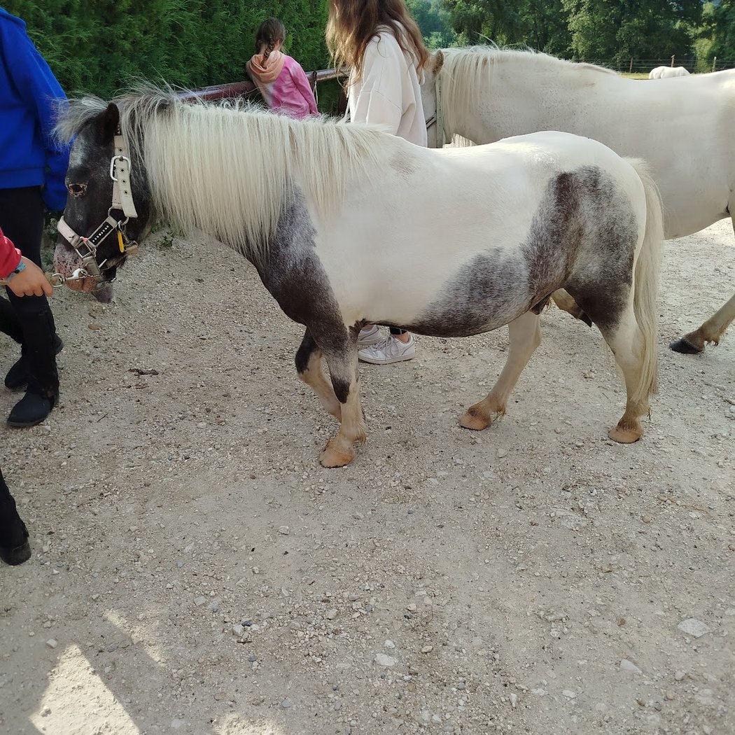 FERME EQUESTRE LES GRILLES 3