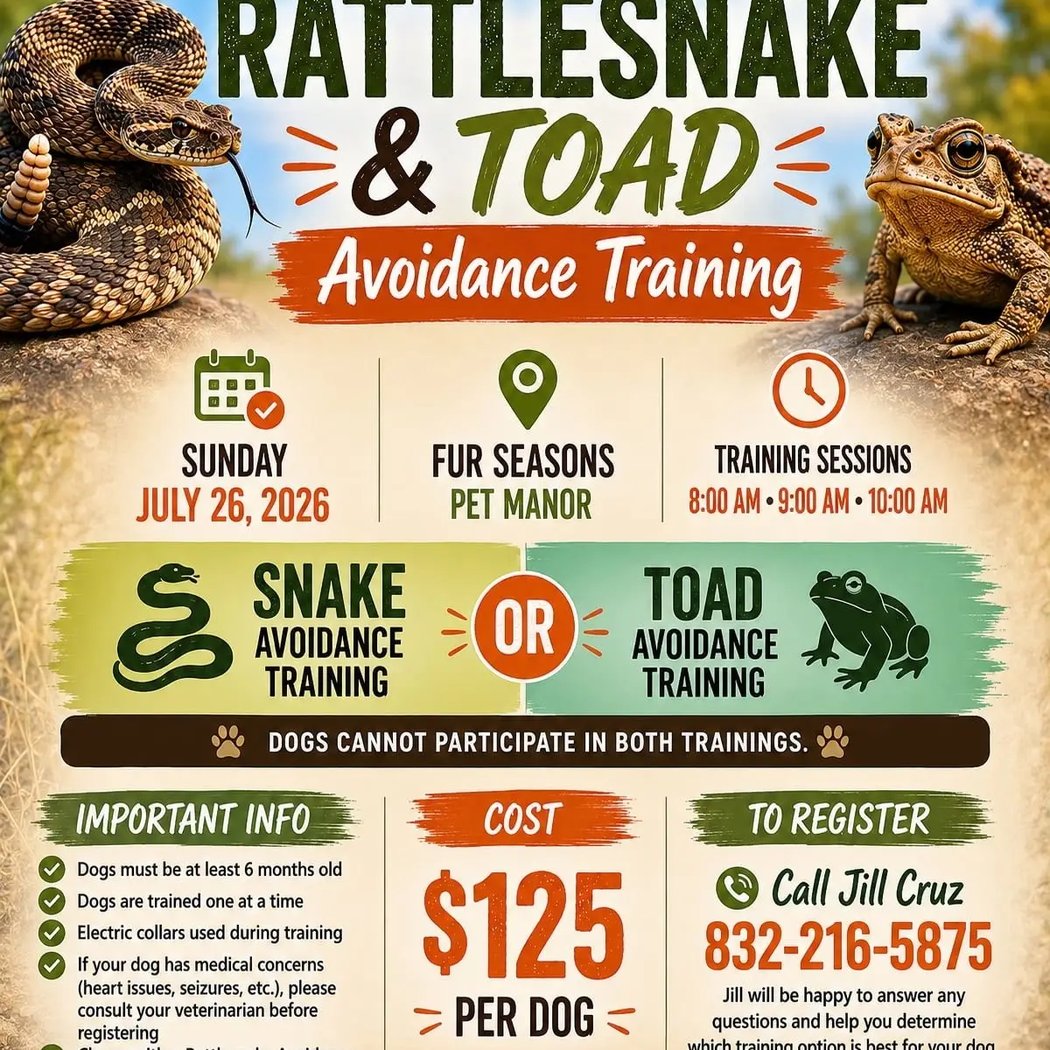 Rattlesnake & Toad Avoidance Training 1