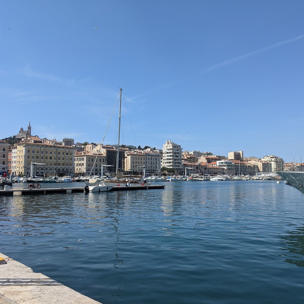 Coquillages du Vieux-Port de Marseille - Sonia et Ahmar Bendjema 2