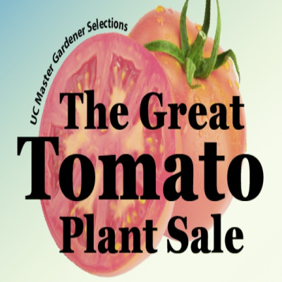 The Wed Great Tomato Plant Sale 1
