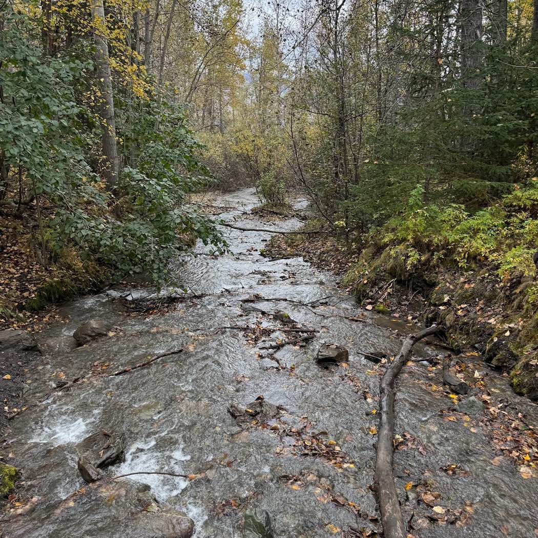 Eklutna Lakeside Trail 3