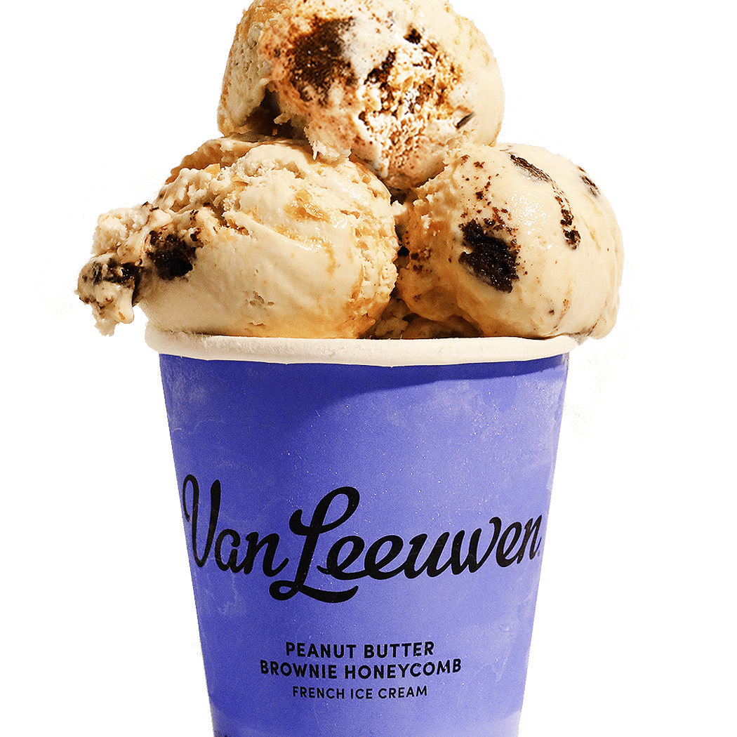Van Leeuwen Ice Cream 1