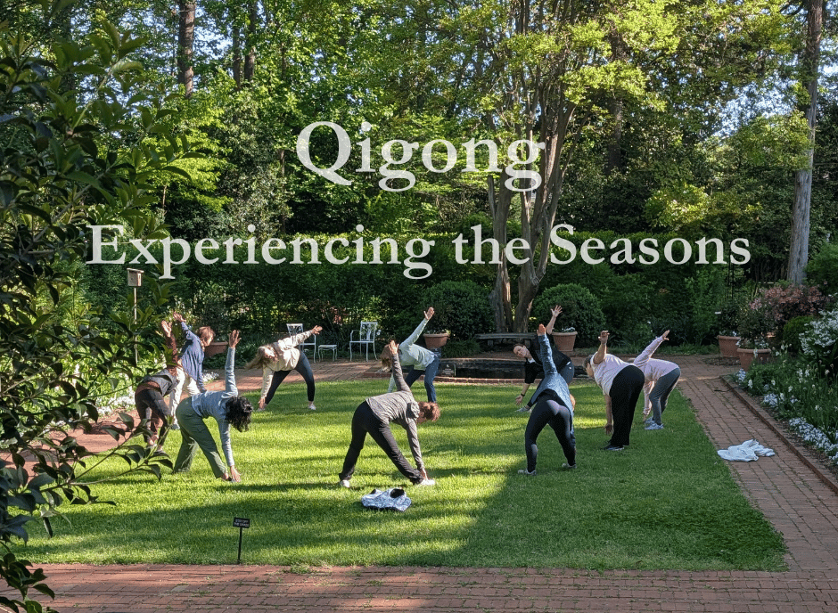 Qigong: Experiencing the Seasons 1