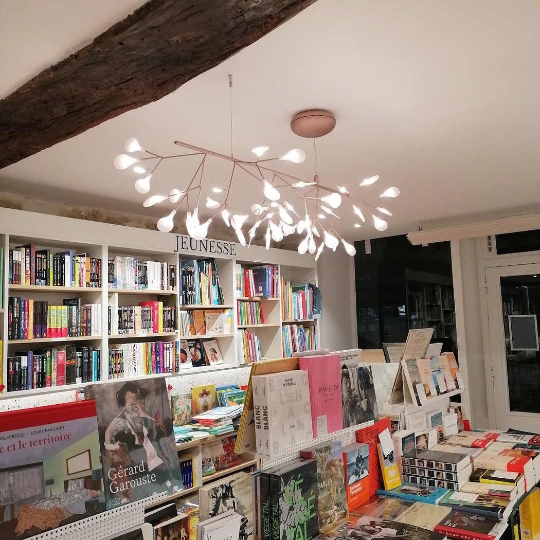 Rencontre avec Marie de Quatrebarbes 3