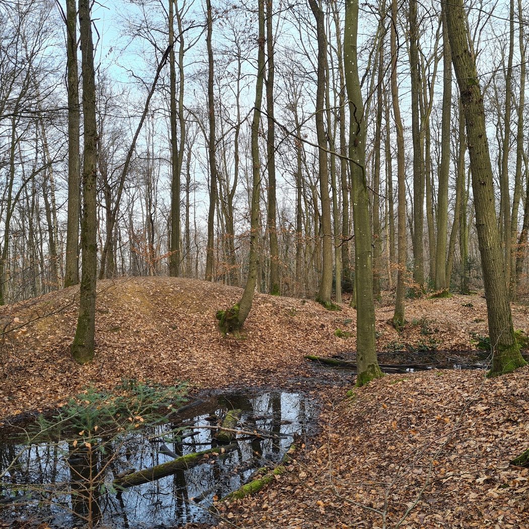 Spot for mountain biking 2