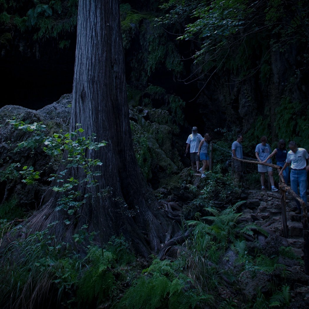 Night Hike 2