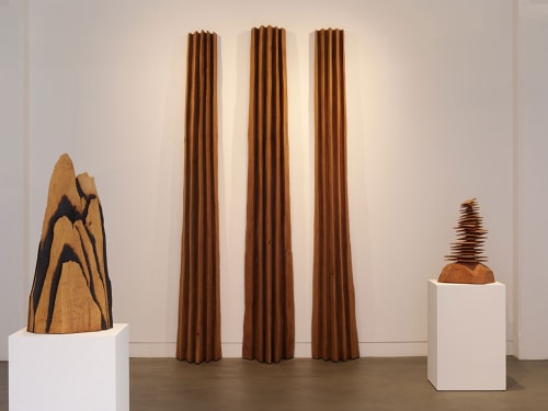 David Nash: Wildwood 1