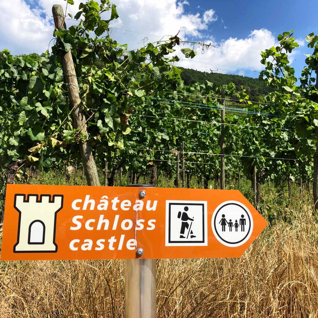 Château de Kaysersberg 2
