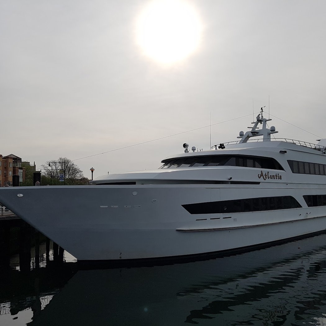 Whale Watching & Dolphin Adventure Cruises 3