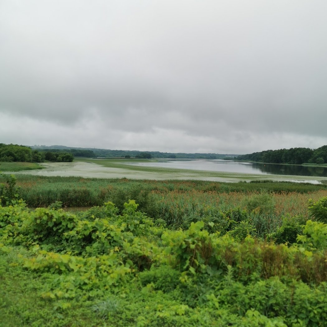 Mohawk-Hudson Bike-Hike Trail 5