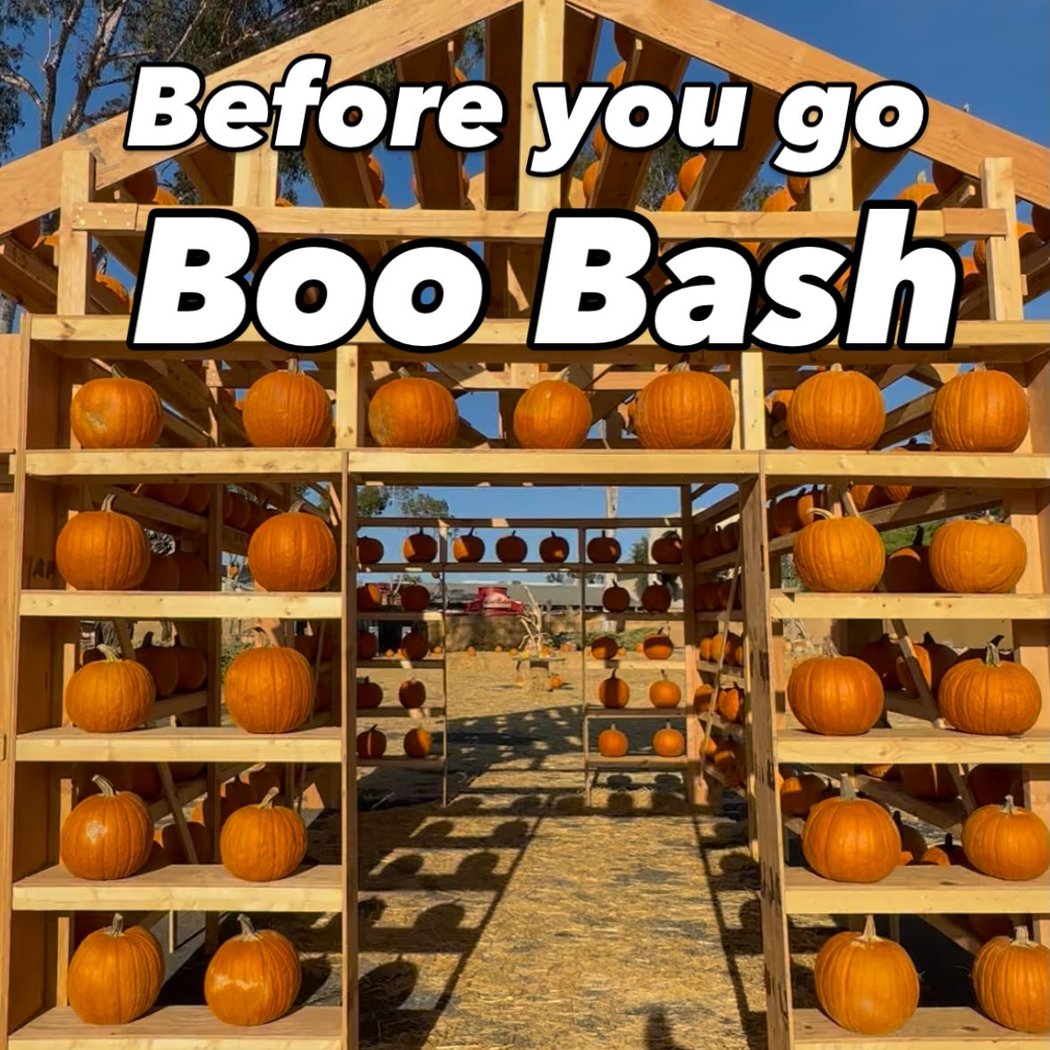 Boo Bash 2