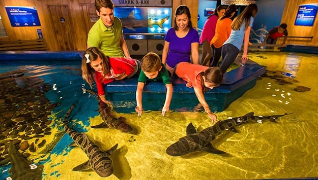 Newport Aquarium 2