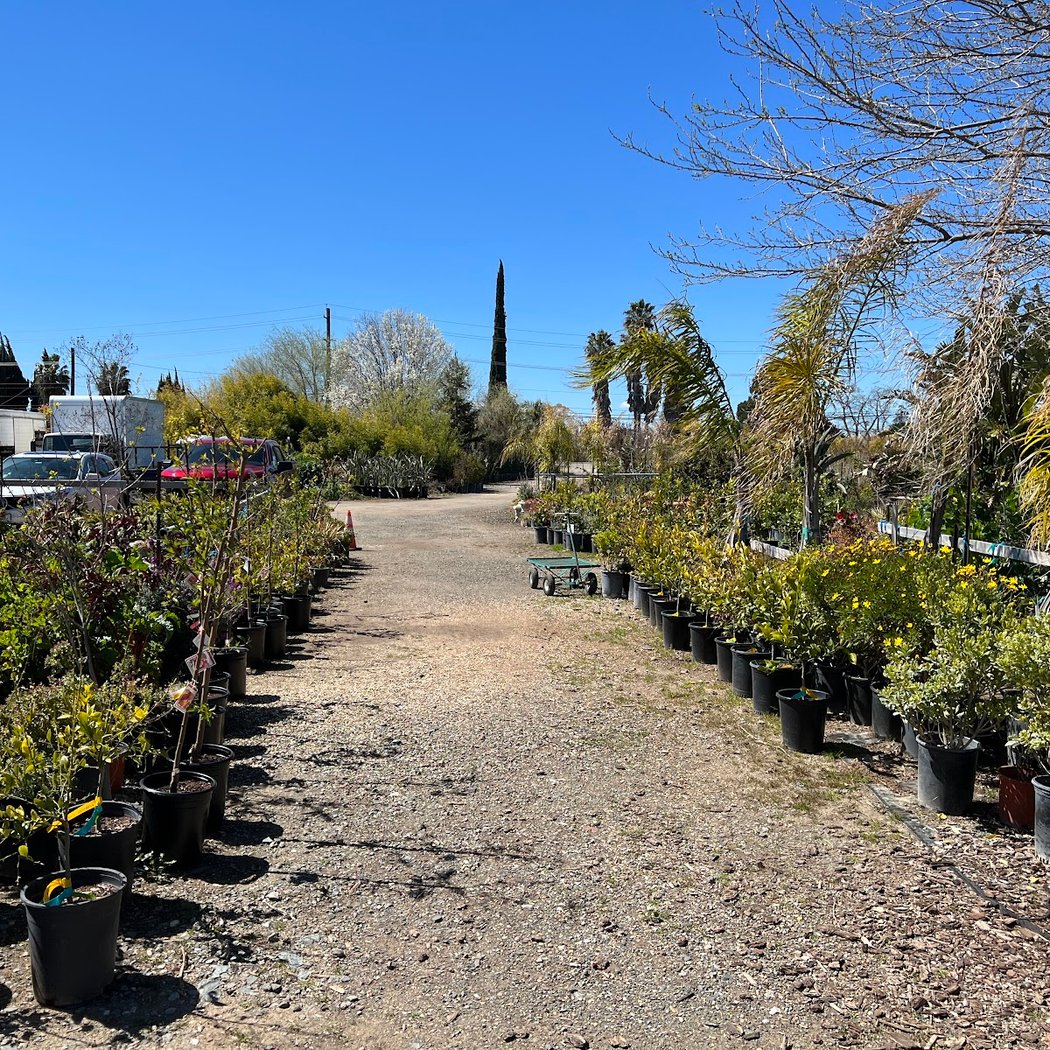 Asahi Nursery 3