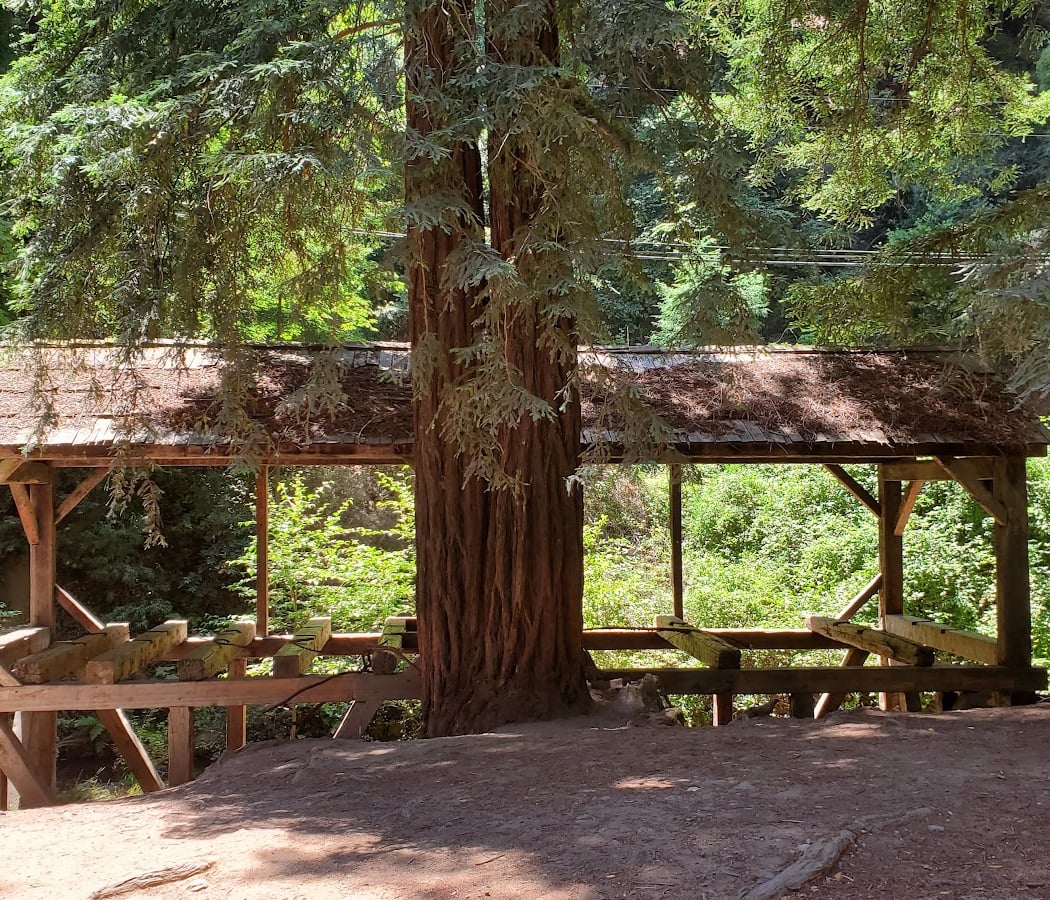 Mill Valley Fall Arts Festival 3