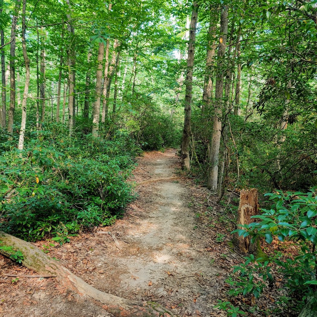 Allaire State Park 3