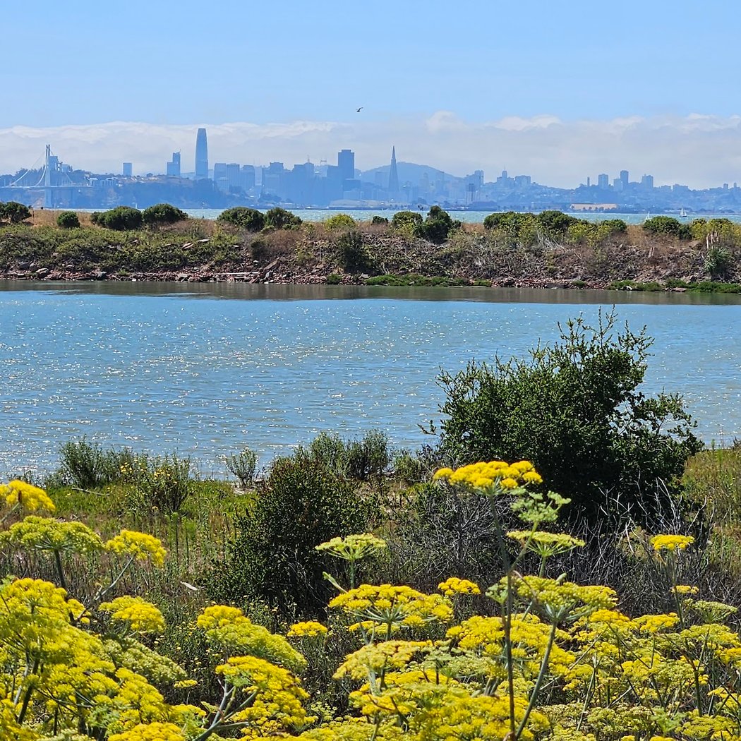 San Francisco Bay Trail 1
