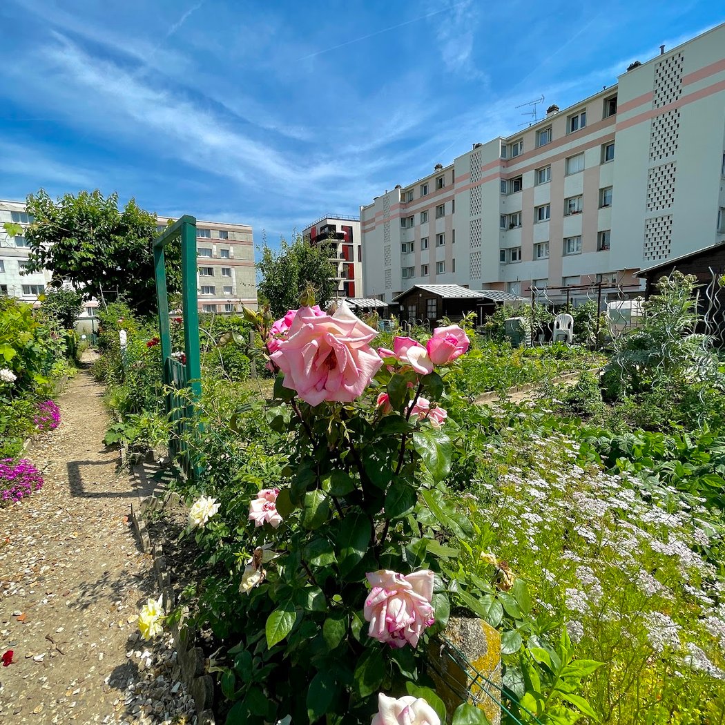 Jardins Familiaux De Montreuil Versailles 2