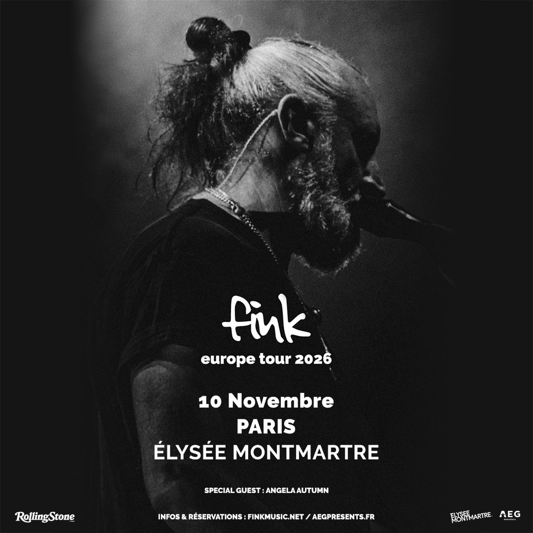 FINK 1