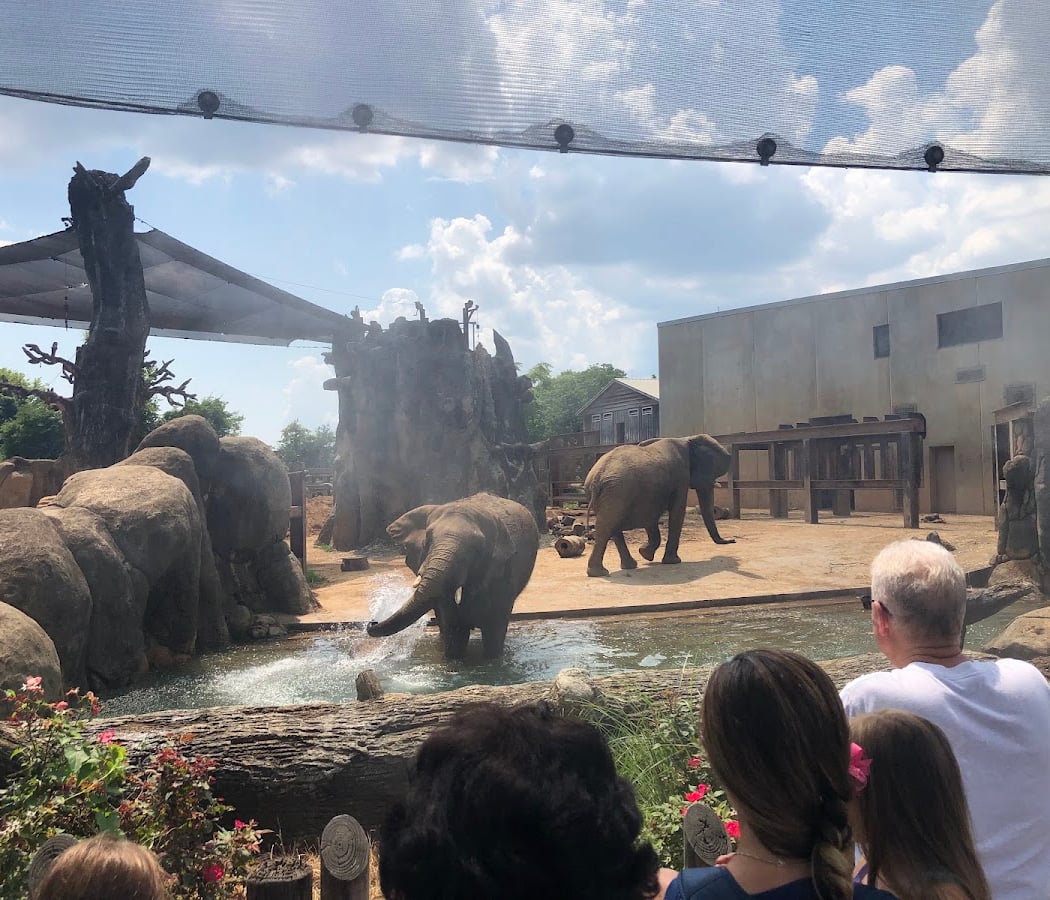 Zoo Knoxville 2