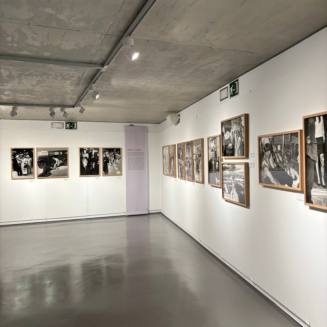 Spanish Files en el proyecto Del bosque a las estrellas 3