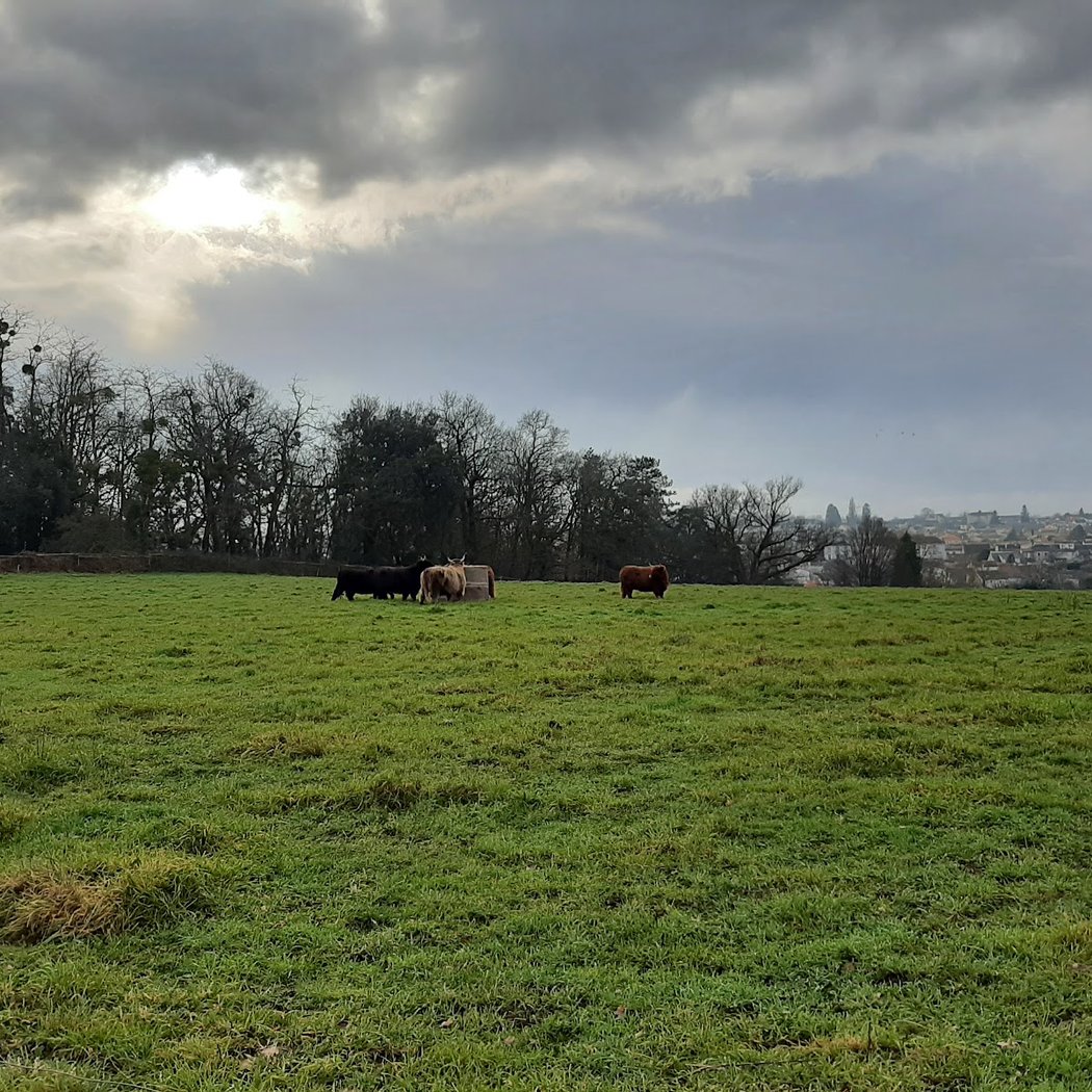 Picnic area of ​​Landreau 3