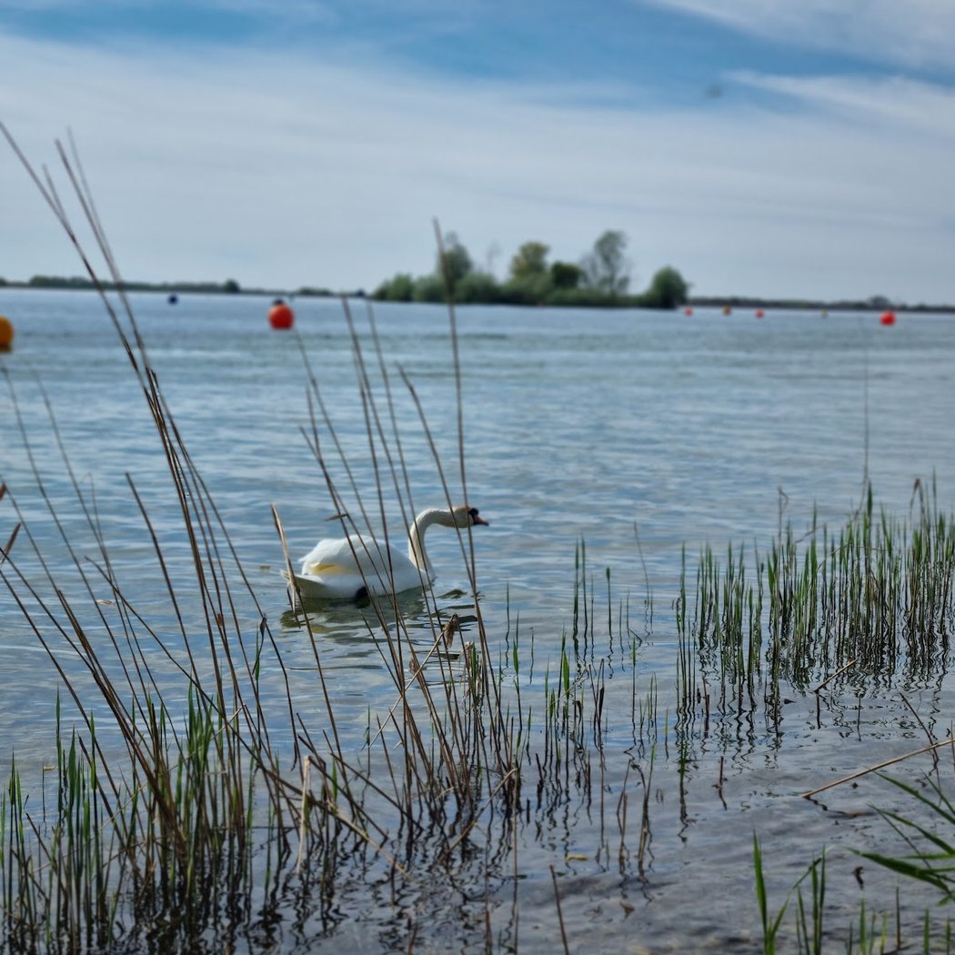 Lacs Amance et du Temple 1