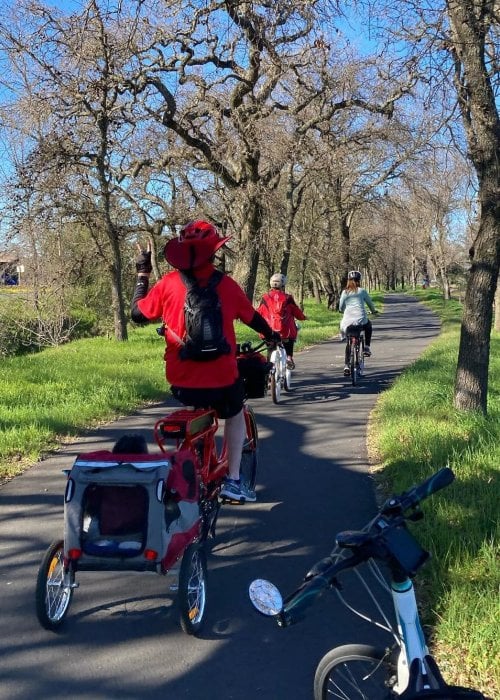 Napa Valley Vine Trail 3