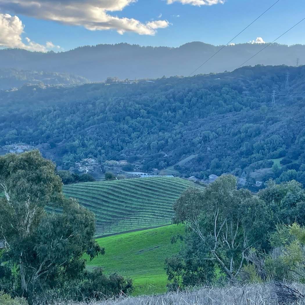 Matadero Trail Hiking Path 2