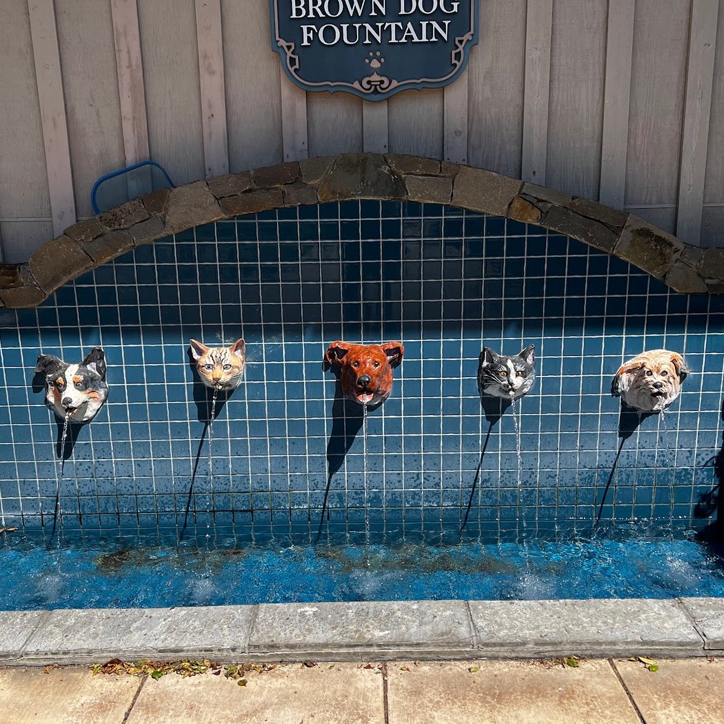 Marin Humane 3
