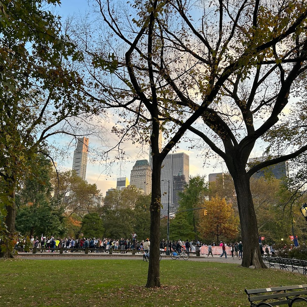 Iconic Views of Central Park Tour (Central Park Conservancy) 1