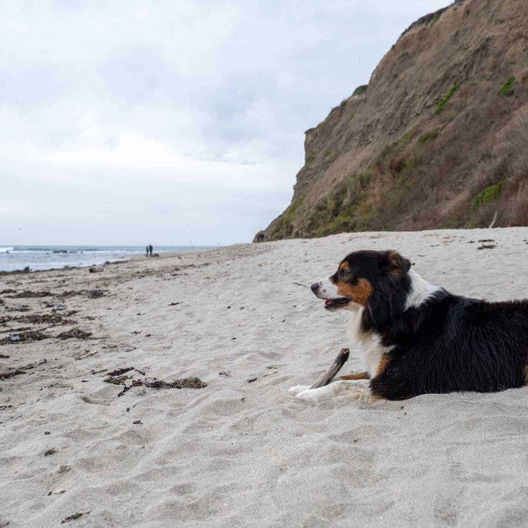 Mavericks Beach 2