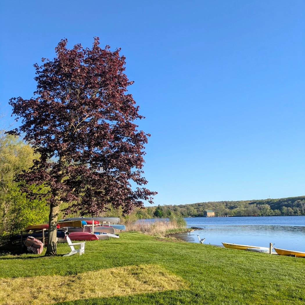 Barton Pond 3