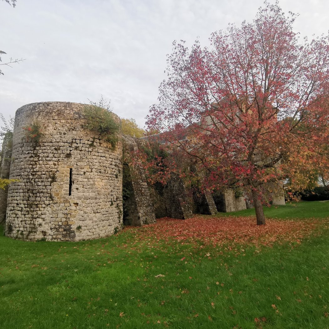Parc du Château 3
