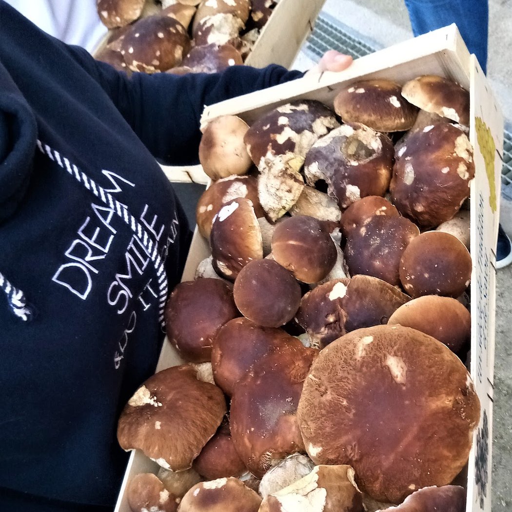 marché aux cèpes prix moyen 1