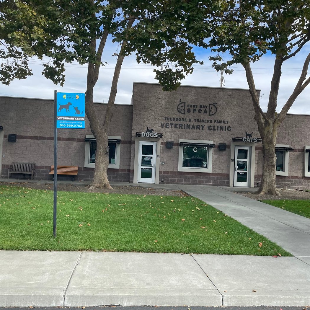 East Bay SPCA Theodore B. Travers Veterinary Clinic 2