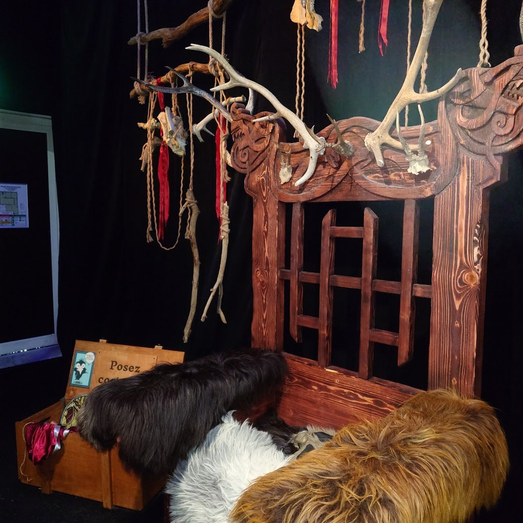 Cité Immersive Viking - Paris Carré Sénart 4