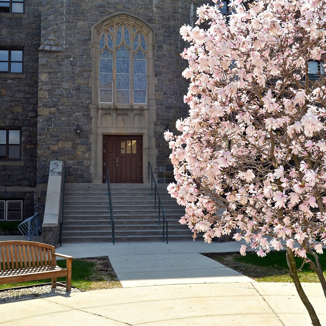 Elisabeth Haub School of Law at Pace University 1