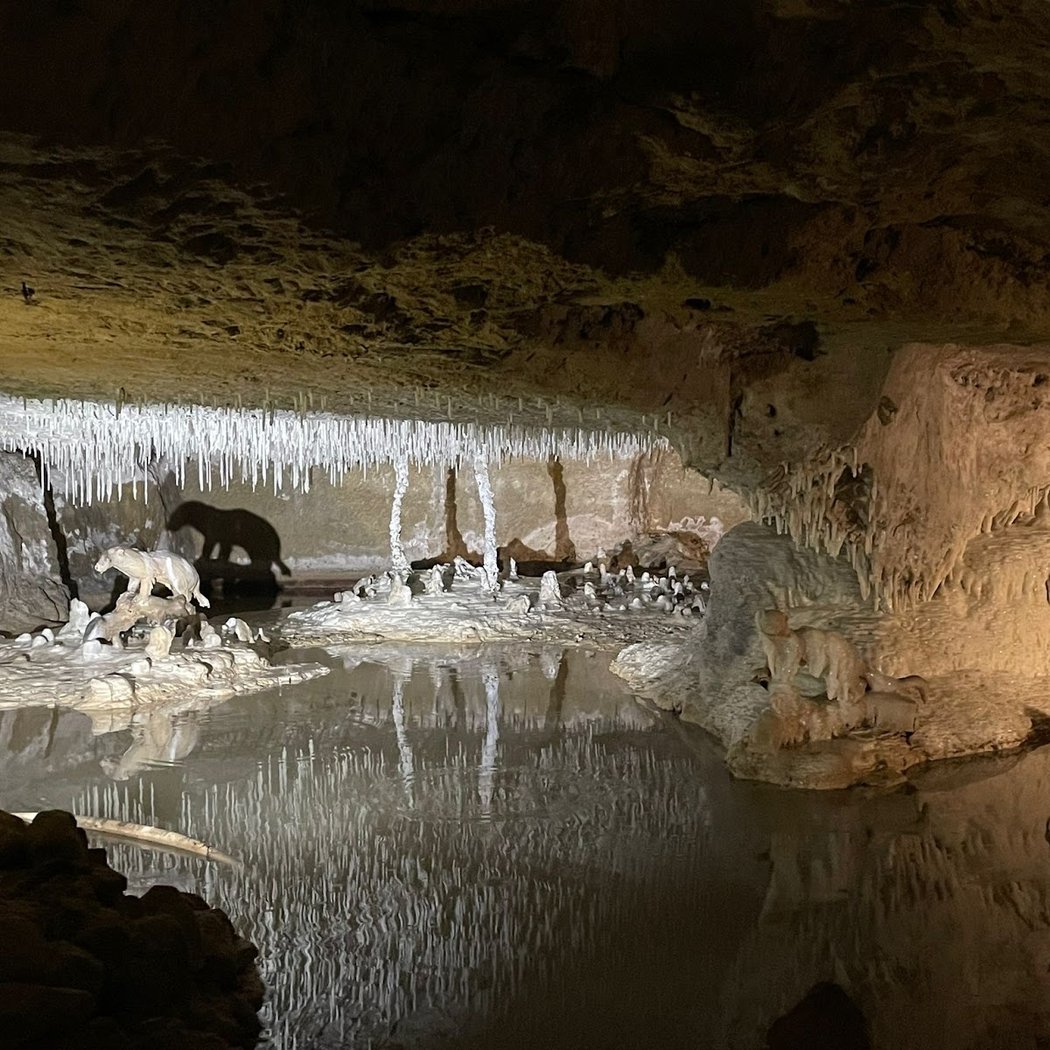Petrified Caves 1
