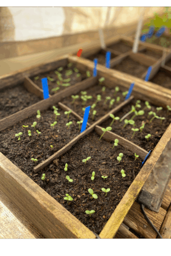 Spring Plant Sale & Family Fun Day 1