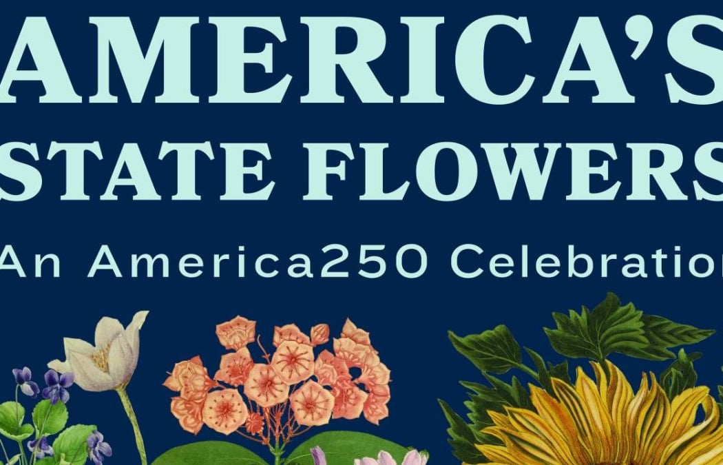 America’s State Flowers: An America250 Celebration
