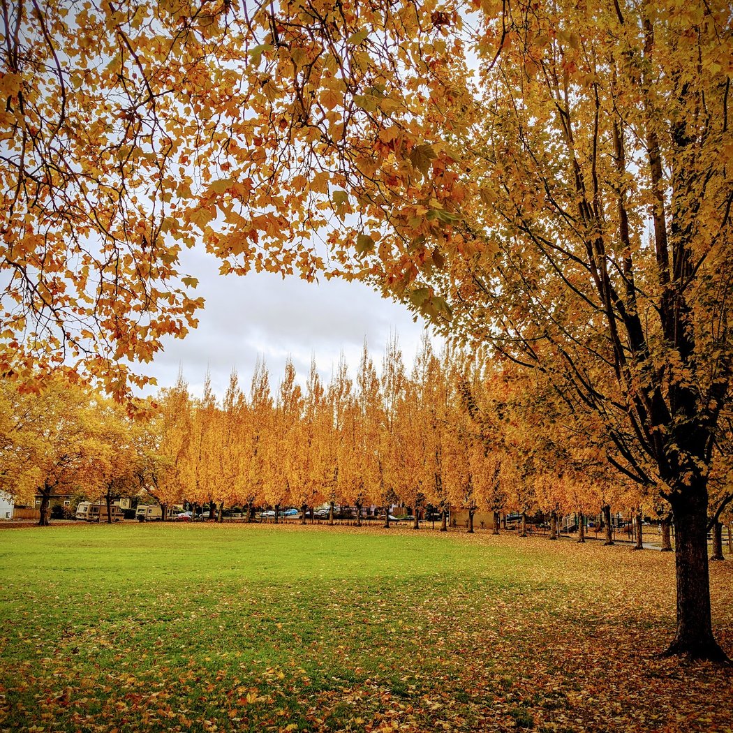 Unthank Park 1