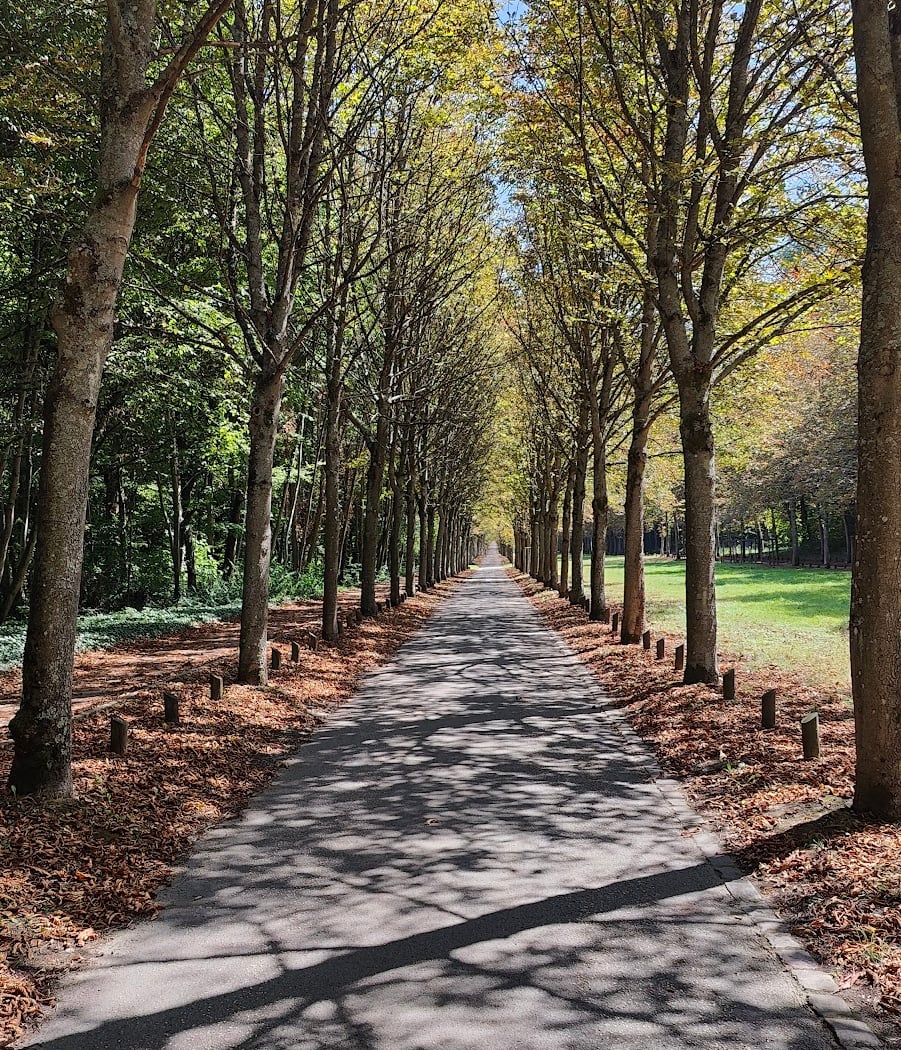 Departmental park of the St. John's Meadow 3