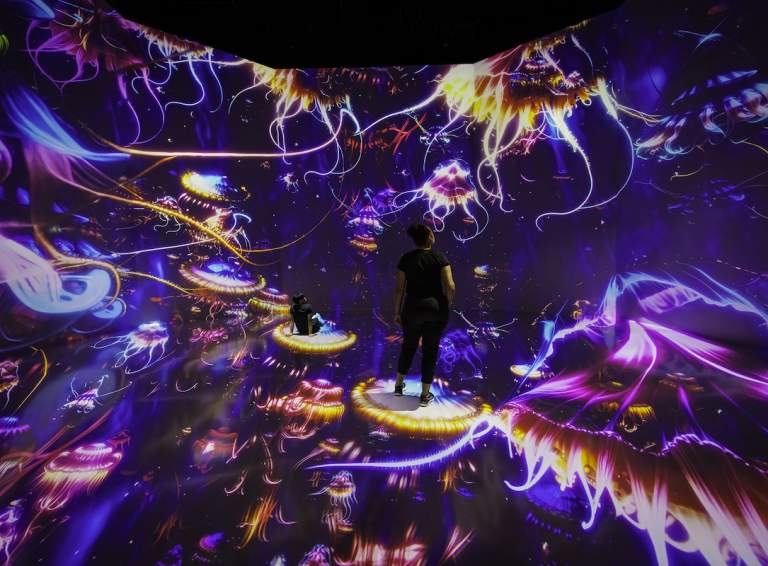 ARTECHOUSE presents Twilight Zone: Hidden Wonders of the Ocean