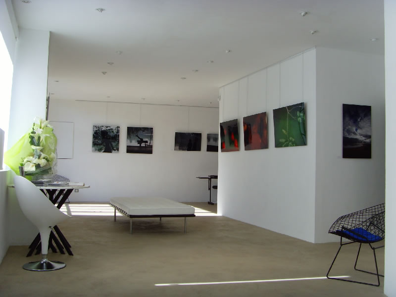 Galerie Pascal Lainé 2