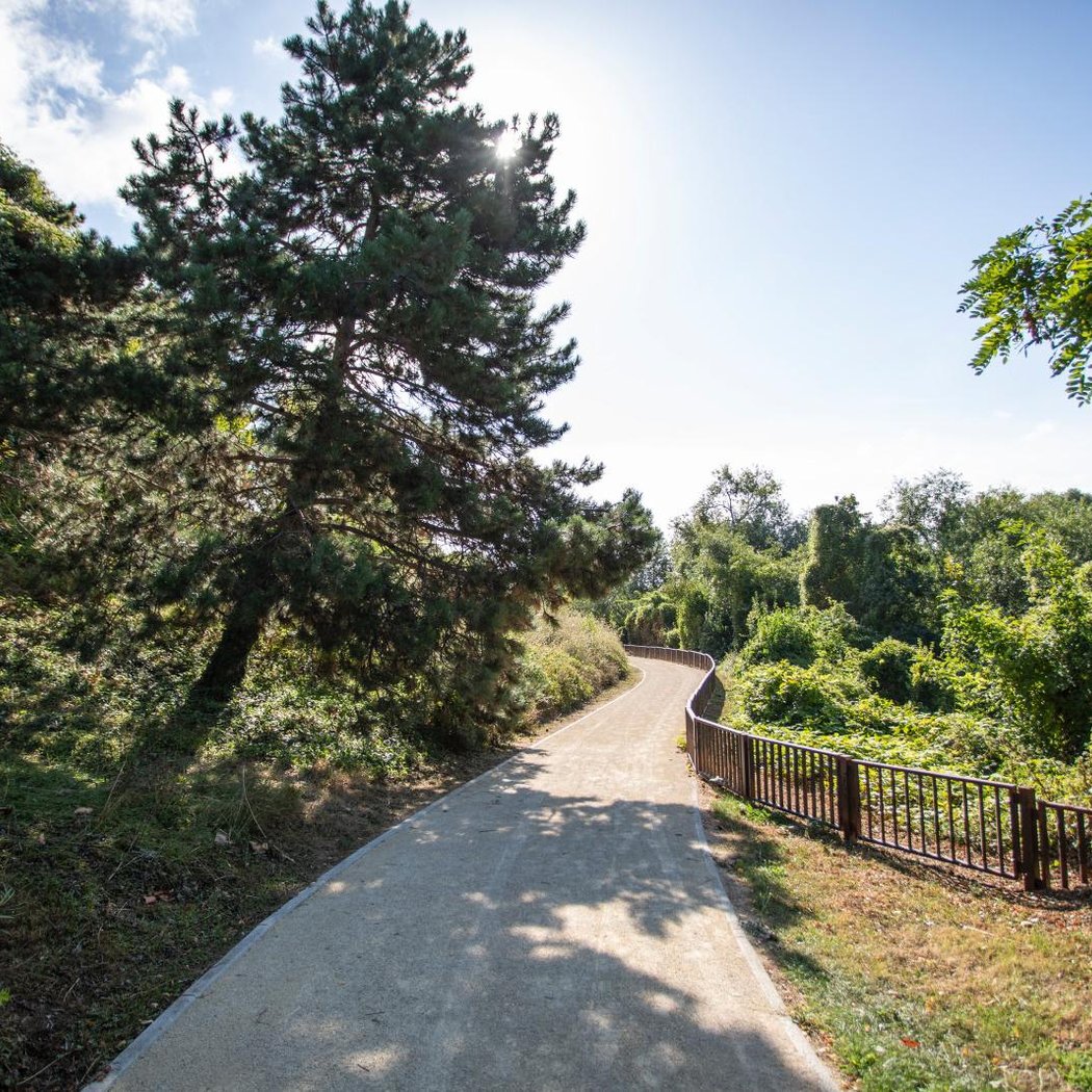 Parc de l’île saint Denis 1