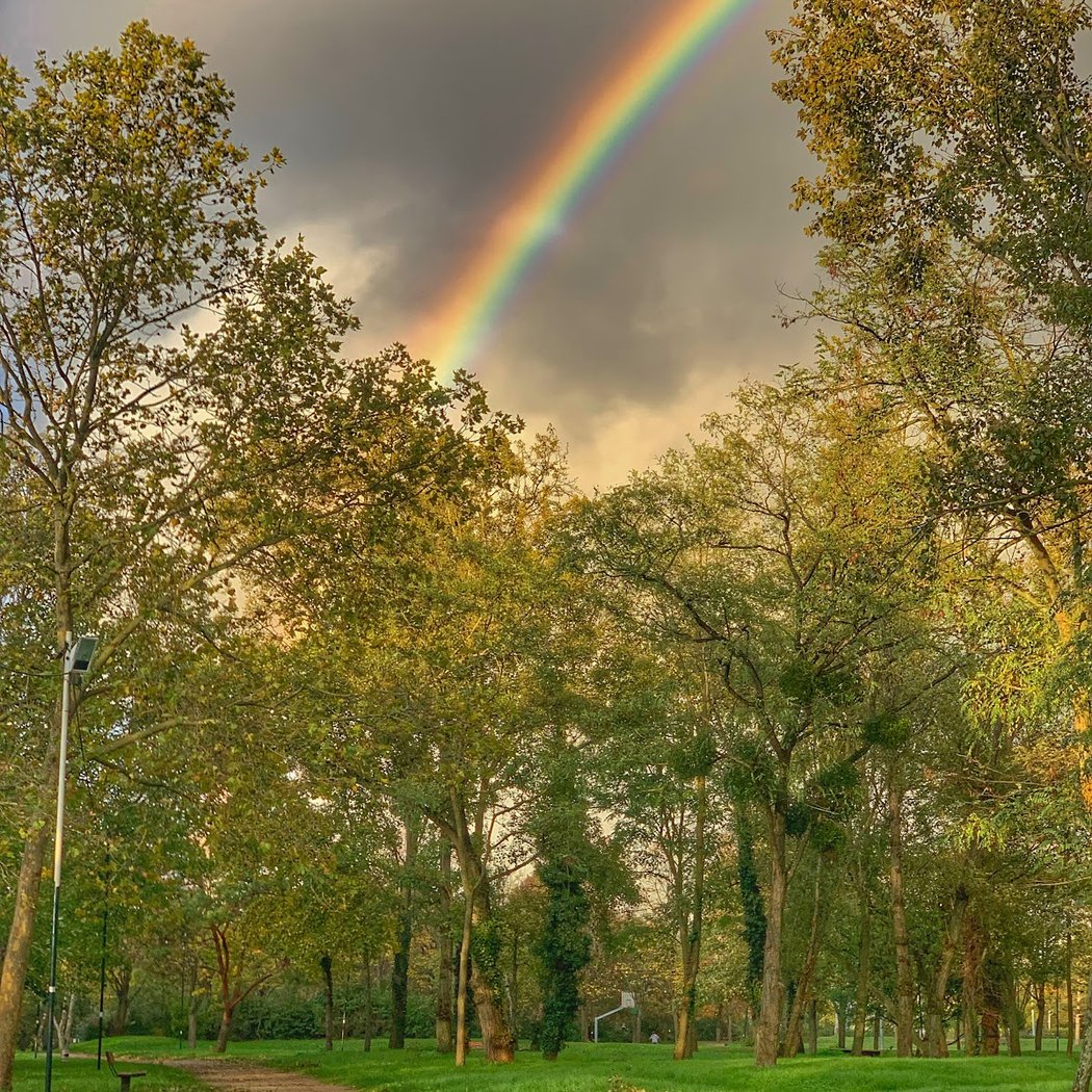 Parc de l'île des impressionnistes 1
