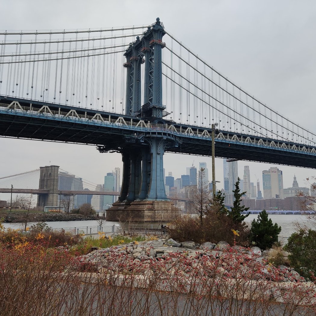 Team Dumbo / Dumbo Business Improvement District 1
