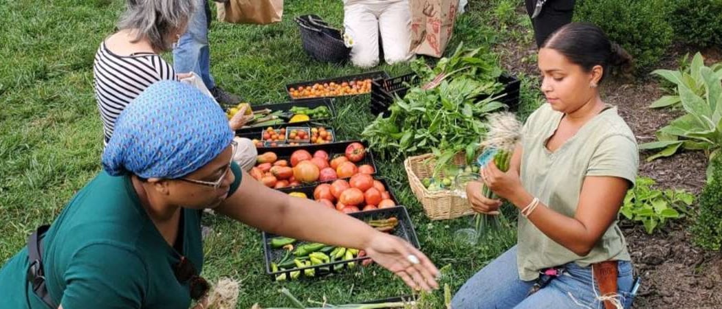 Home Farm Club at Wyck
