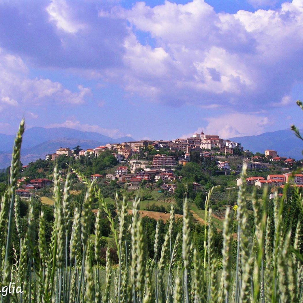 Cantine di Ripi 2